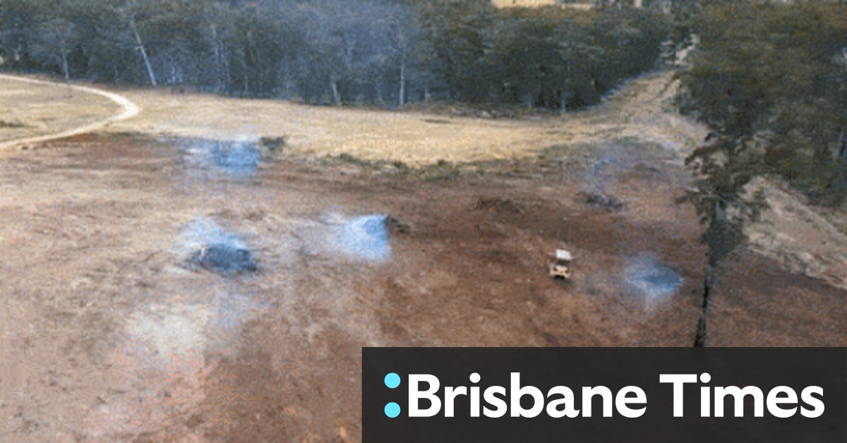 NSW een ontbossing hotspot ‘op gelijke voet met Indonesië’