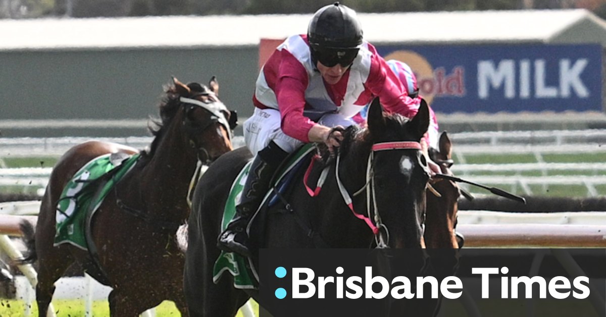 Jockey Will Gordon heeft een boete van $ 2500 van Victorian Racing Tribunal voor het kopen van paard voor Darren Weir’s dochter Taige Weir