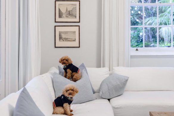 Bronte en Bondi zaten op de familiebank.