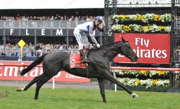 Amanicain wint de Mellourne Cup 2010 voor Jocalley Gerad Sess Mocalt Mowee en coach Alain's Ettelbru-de Der-the Performance-beschrijving.