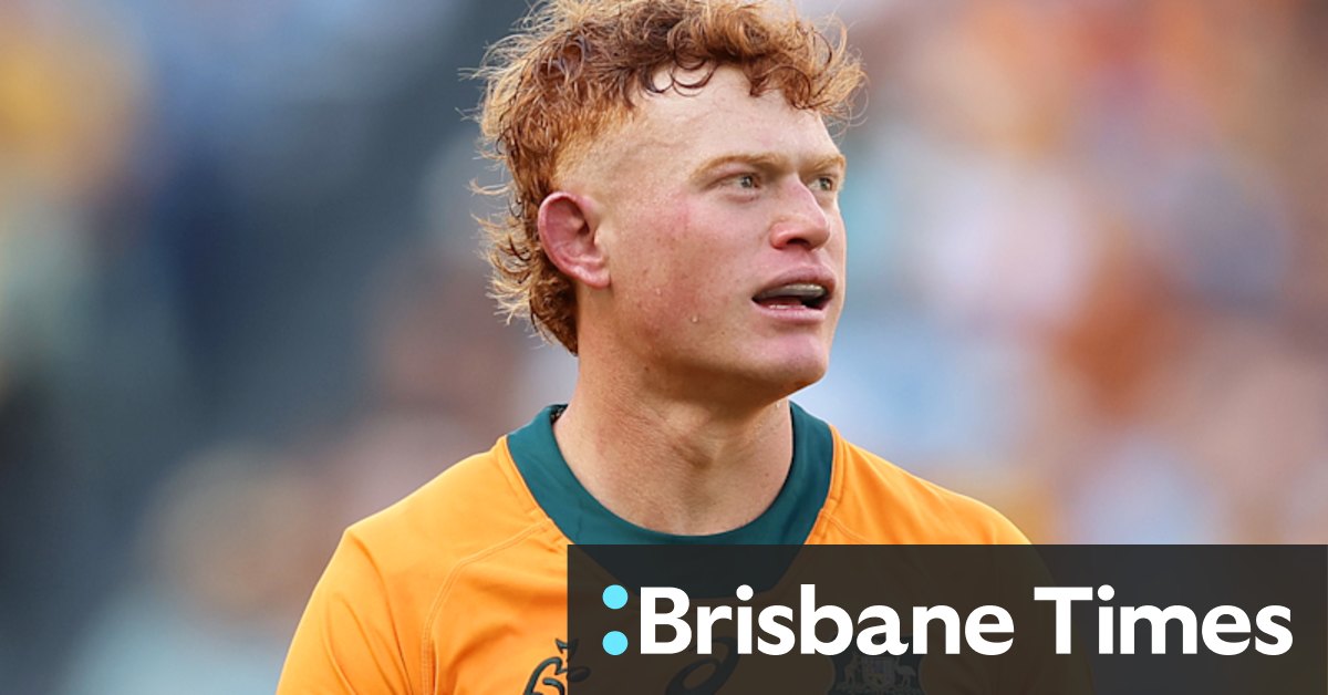 Wallabies -coach Joe Schmidt heeft twijfels over de levensvatbaarheid van rebellencompetitie