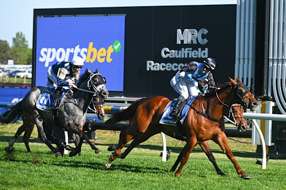 De finish in de Caulfield Cup is een goede indicatie: Half Yours, vooraan, bedekt River Of Stars met grijze Valiant King op de derde plaats.