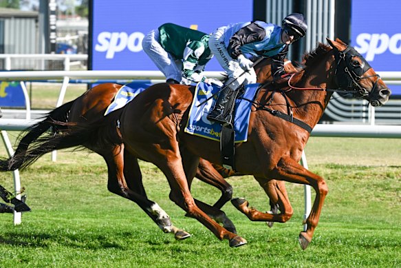 Jockey Jamie Melham rijdt Caulfield Cup-winnaar Half Yours in de Melbourne Cup.