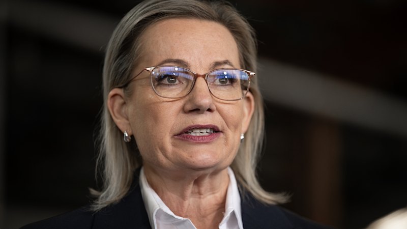 Sussan Ley wakkert het debat aan na de netto nul-zege van liberaal-rechts