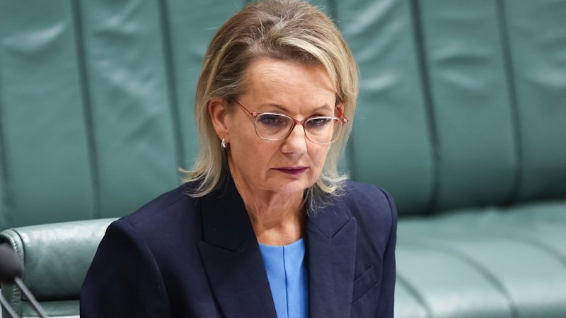 Sussan Ley bekritiseert parlementsleden van de coalitie omdat ze tijdens het debat hun zorgen over abortus hebben geuit