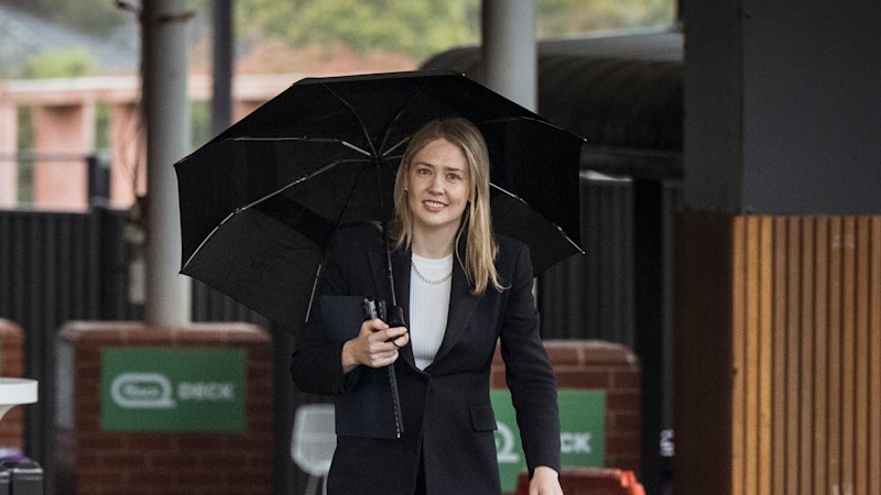 Amelia Hamer en de kast van het verdwijnende parelsnoer