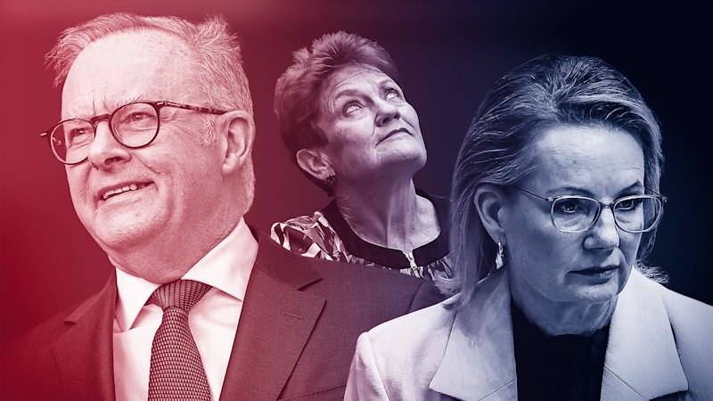 Coalitiestemming daalt naar recordlaagte, One Nation stijgt te midden van woede op de huizenmarkt: opiniepeiling