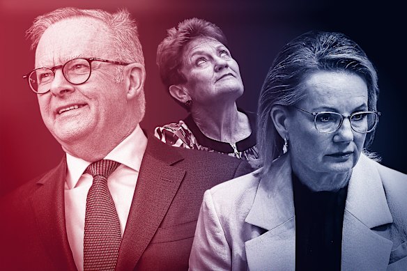 Labour en Anthony Albanese doen het goed, terwijl One Nation en Pauline Hanson een doorn in het oog blijven voor de coalitie van Sussan Ley.